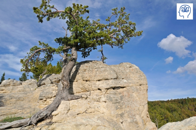 Resilienz entwickeln